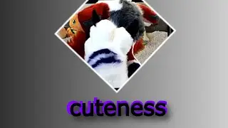 TOO CUTE TO HANDLE 🐾 | Furry Song Moment 🎵 #furry #vtuber