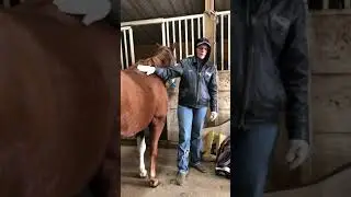 Saddle fitting with wendy Winn