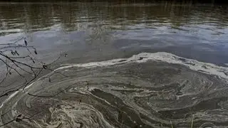 Feds probe relationship between N.C. regulators and Duke Energy after spill