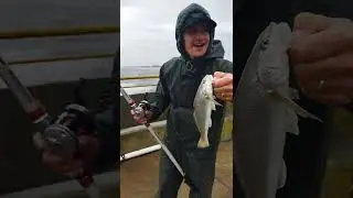 Ser&aacute; que compensa pescar na chuva? ☔🎣