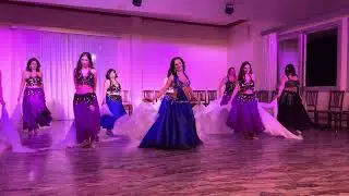 Danza del ventre con il velo. Alina Muraru-gruppo base.