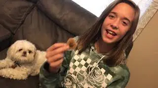 Puppy Delight by Messed Up Labs