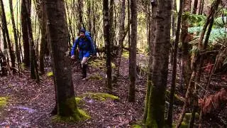 Two Minute Walks - North West Bay River - Tasmania