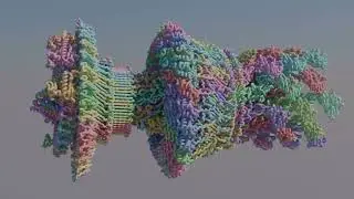 Bacterial Flagellar Motor