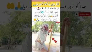 baba chilling rain🌧️#baba #chill #rain #enjoy #happy #shorts #viral #trending #comedy #happy #foryou