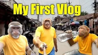 BANDAR AI VIDEO 1st Vlog || Aimonkey Vlog || I Will go tothe Mall ||ai monkey shorts