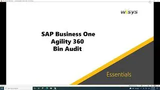 WiSys Agility 360 Bin Audit for SAP Business One