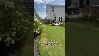 I scalped the backyard putting green!