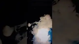 SheeshA lover