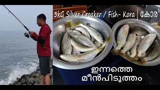 Silver Croaker or Fish- Kora | കോര Fishing #fishing #beachfishing #fishingvideo #fish #malayalam