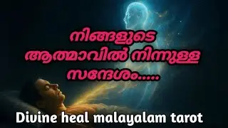 നിങ്ങളുടെ ആത്മാവിൽ നിന്നുള്ള സന്ദേശം ✨🌞♥️Divineheal malayalam tarotreading ✨🌞