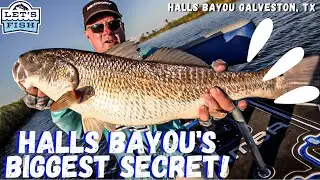 EPIC REDFISH CATCH: HOOKING THE BEAST OF HALLS BAYOU, GALVESTON! #31-2023 SouthWEST