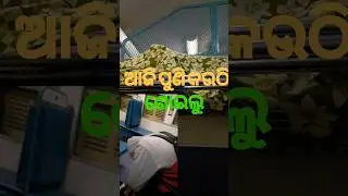 ଆଜି train ରେ ଶୋଇଲୁ 🤔#shorts #train #exam #minivlog