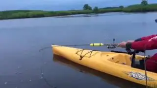 Monster drag puller!
