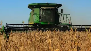High Yield Soybean Harvest in Illinois 2025 | John Deer 9650STS