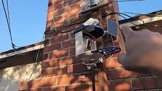 Кормушка для птиц PeckCam с камерой и функцией распознавания ИИ