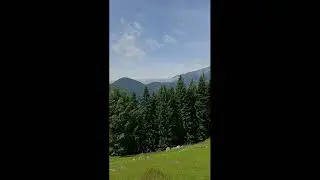 🌲✨ Rohikyng Episode 27 | Hidden Trails & Mountain Magic 🏞️🥾🎶