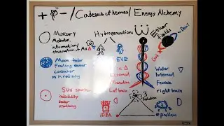 Caduceus & masculine / feminine elements meanings