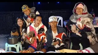 FOUR LEGGED FAMILY MEMBERS