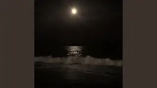 Grasshopper - Beach No Sand