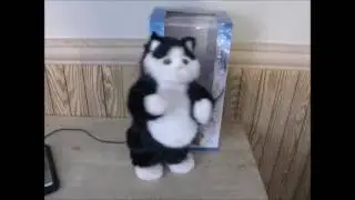 Party Animal Dancing Cat Speaker Dancing to Trower