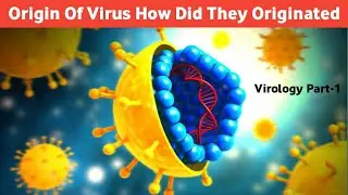 Where did viruses come from? Virus Evolution #virology #virus