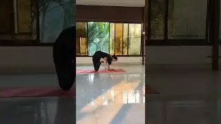 Advanced Yoga Pose #shorts #short #shortvideo #yoga #yogapractice #yogainspiration #motivation #fit
