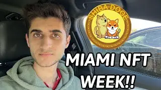 Shibadoge Miami NFT Week and It&rsquo;s Impact to the Coin Price!