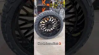 Только что поступили в продажу шины Fittipaldi FA25 b 33x12.50x24 Rbp Rt размером 24x12.