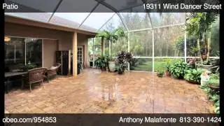 19311 Wind Dancer Street Lutz FL 33558   Anthony Malafronte   Coldwell Banker North Tampa