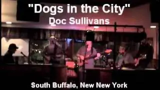 Dogs in the City, LIVE FROM DOC SULLIVANS