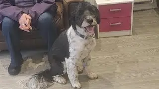 Arthur Vlog(s)