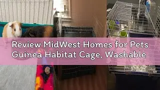 Review MidWest Homes for Pets Guinea Habitat Cage, Washable PVC Canvas Bottom, Secure Sides, Tool-Fr