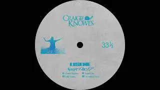 Lisene - Perception Check