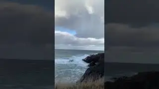 Fortune NL Newfoundland Winter Nature Beauty in Canada | Stunning Snow Scenes | Viral Trending Video