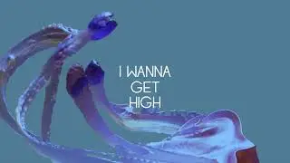 Sabrina Morreno, Paws SA - HIGH (Lyric Video) V1