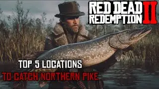 Пять лучших мест для ловли северной щуки в 2025 году! (Red Dead Redemption 2)