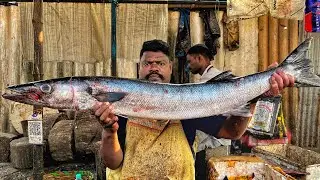 KASIMEDU 🔥 SPEED SELVAM | BIG SIZE SHEELA FISH CUTTING VIDEO | 4K VIDEO | IN KASIMEDU |KMFISHCUTTING