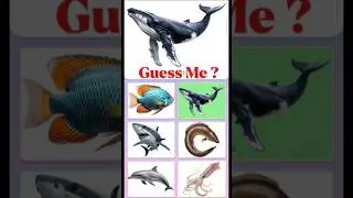 Whose Sound Is This? Ocean Animal Quiz! 🌊🐋🦀🦈 [Part2] #shorts #educationalvideo #quiz #kidsquiz