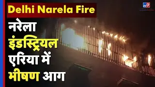 Narela Industrial Area Fire : नरेला इंडस्ट्रियल एरिया में भीषण आग, फुटवियर फैक्ट्री जलकर खाक | Delhi