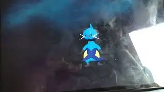Dewott (Kenji&rsquo;s Son Otto) Evolves Into Samurott.