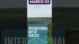 One Day  for Forest!!!How exciting it is?? #forest #conservativemovement #saveanimals