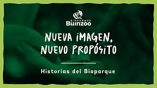 HISTORIAS DE BIOPARQUE - NUEVA IMAGEN, NUEVO PROPÓSITO