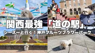 【関西最強道の駅】神戸フルーツフラワーパークが穴場すぎた！#シーズー #はに丸 #犬のいる暮らし