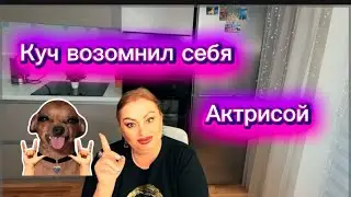 Куч сказал, что в ней умер актёрский талант🤣Фуфел во всём подтявкивает своей хозяйке и клянчит часы