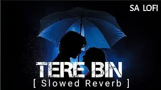 TERE BIN | Slowed Reverb | Pakistan Drama OST | Yumna Zaidi, Wahaj Ali | Shani Arshad | SA LOFI |