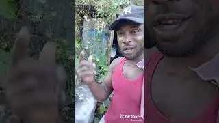 No transmission freestyle 🔥 🔥 dark mode 
