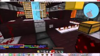 Raiding VitalityPvP