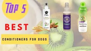 Conditioners For Dogs - Best Conditioners For Dogs Review 2021