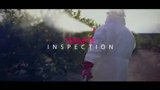 Madison Pest Control: Local Experts Safeguarding Homes and Businesses Across Wisconsin